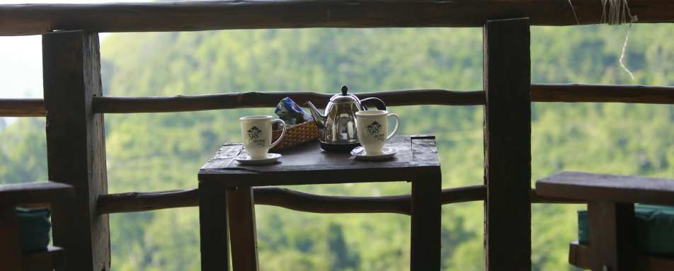 Tea for Two - 98 Acres