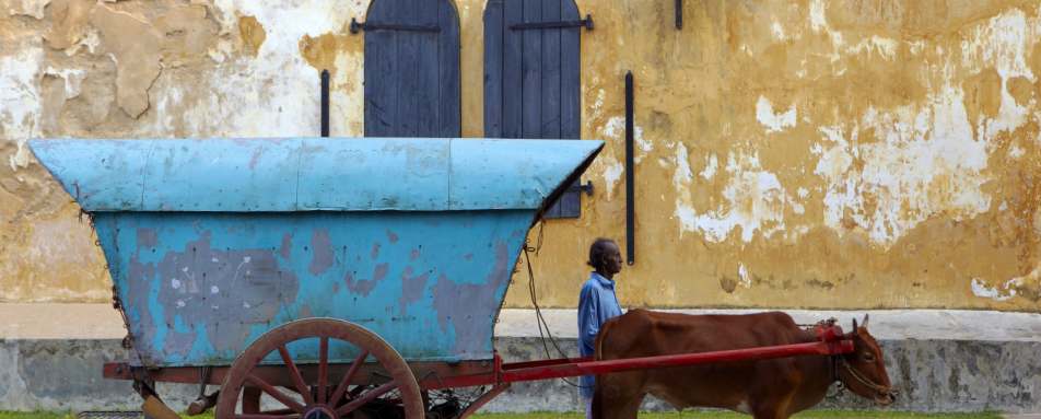 Discover Galle - Amangalla