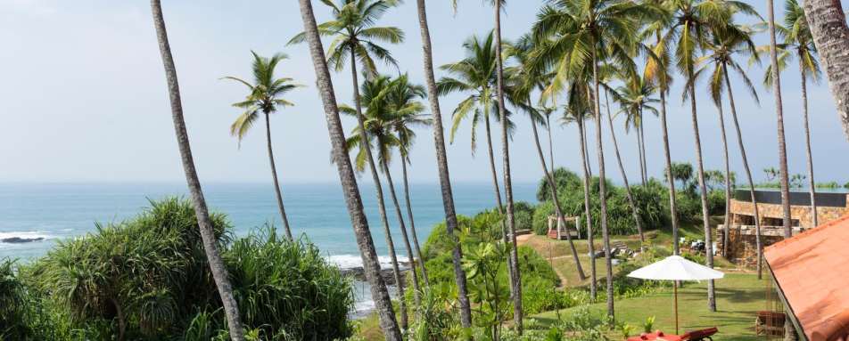 Garden - Cape Weligama