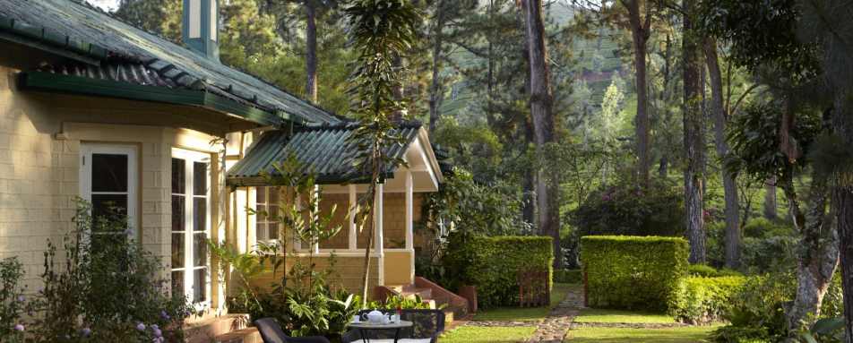 Private Garden of the Shuttworth Suite Summerville - Ceylon Tea Trails