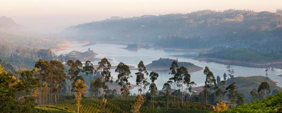 Views - Ceylon Tea Trails  