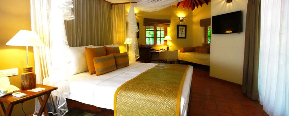 Jungle Chalet - Cinnamon Wild