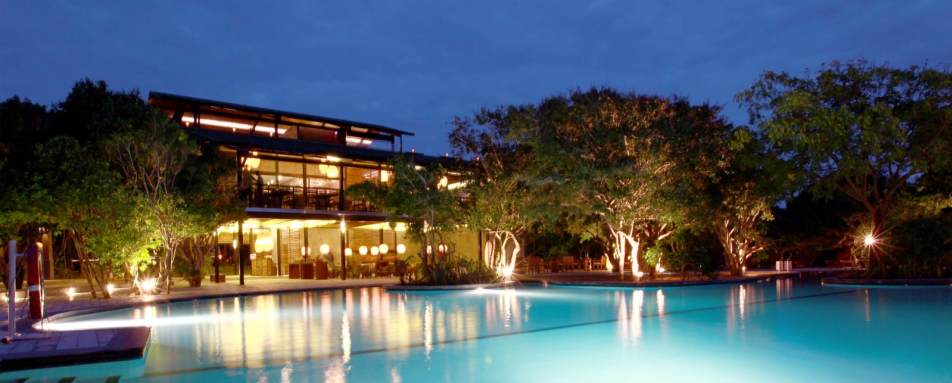 Evening View - Cinnamon Wild