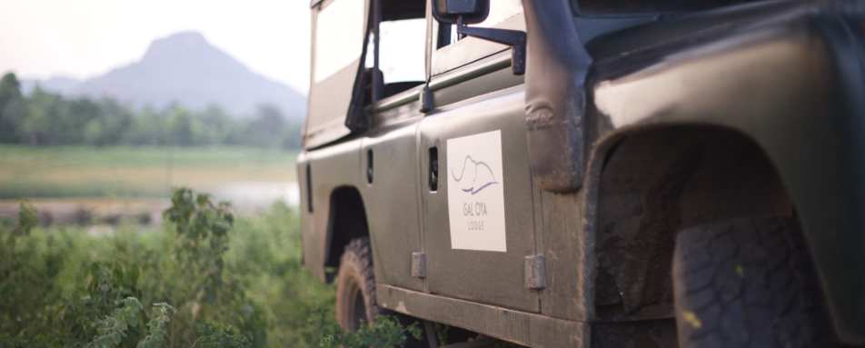 Safari - Gal Oya Lodge