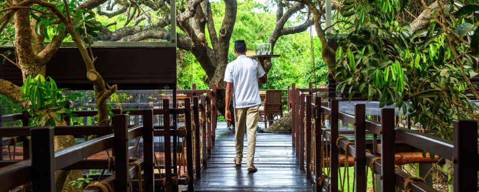 Walkways - Jungle Beach 