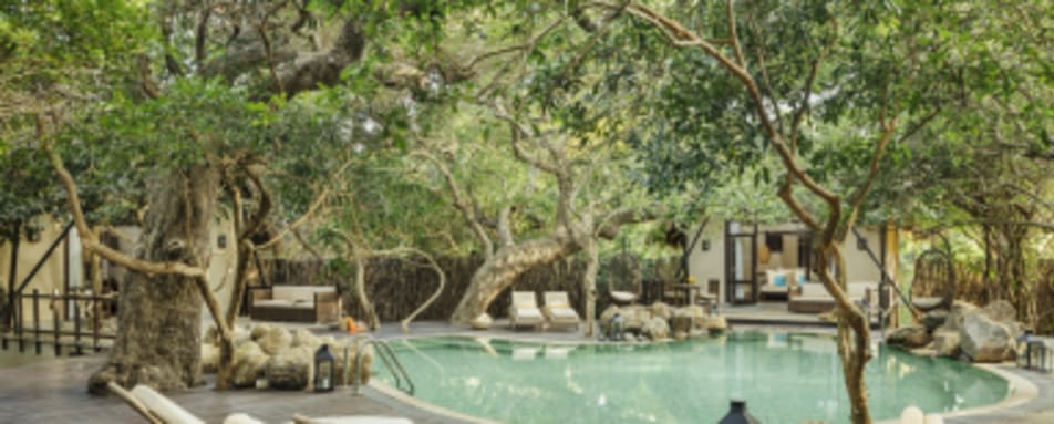 Cluster Cabin Exterior 