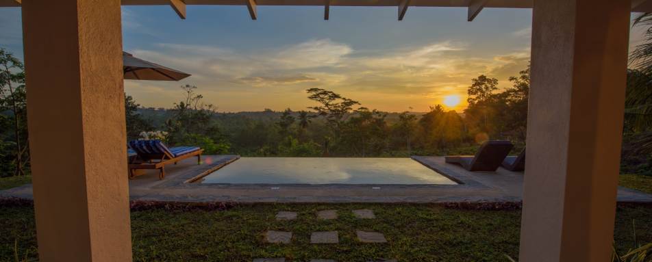 Hibiscus - Kahanda Kanda