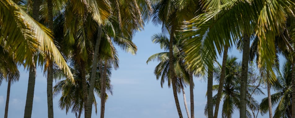 Beach View - Kalkudah Beach Hotel 