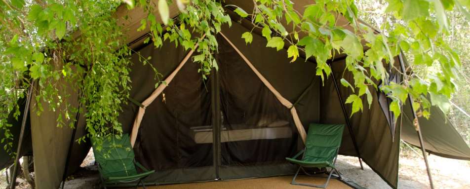 Tents - Wilpattu National Park