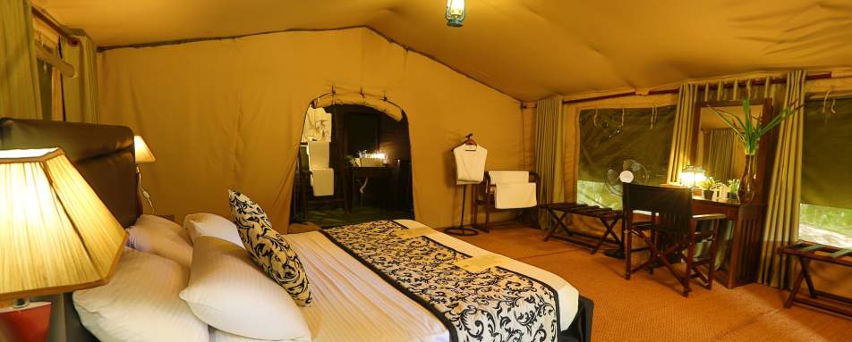 Luxury Tent - Leopard Trails