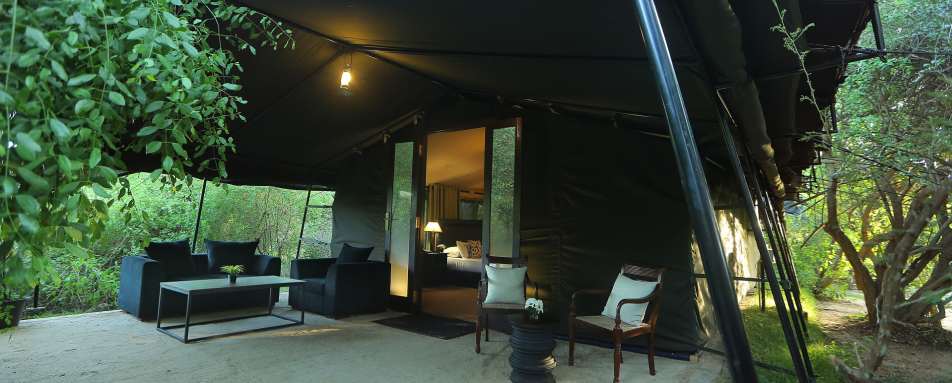 Luxury Room - Leopard Trails