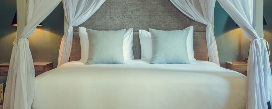 Ella Rock Suite Details  