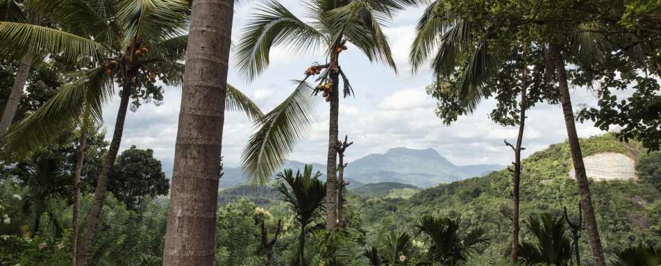 View - Rosyth Estate