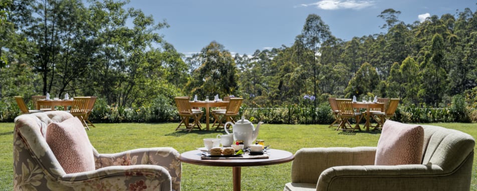 Afternoon Tea - Stafford Bungalow 