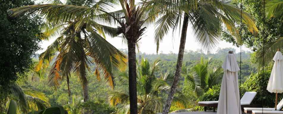 Swimming Pool - Tekanda Lodge  