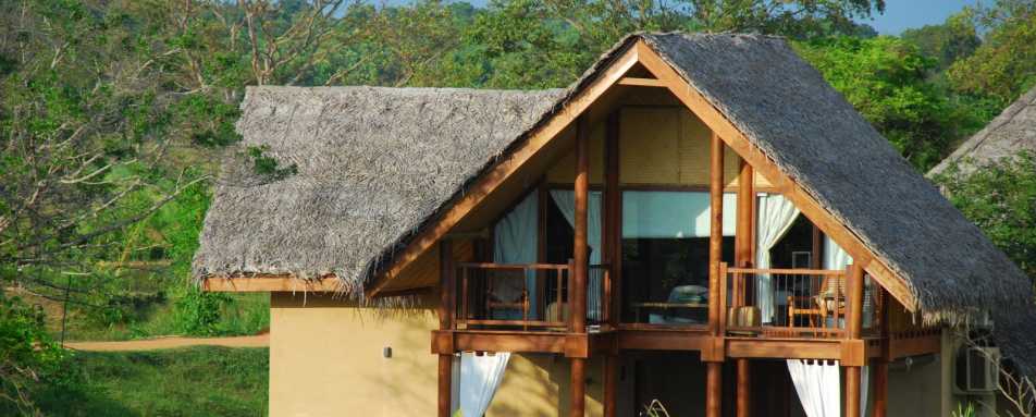 Forest Dwelling - Vil Uyana