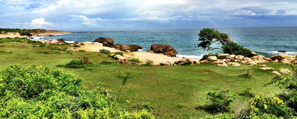 Beach Garden - Wild Coast Tented Lodge