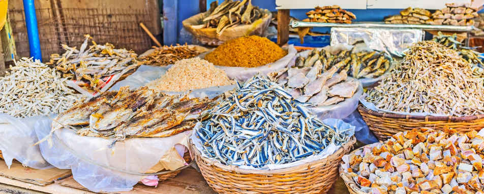 Colombo Mark Forbes Walk