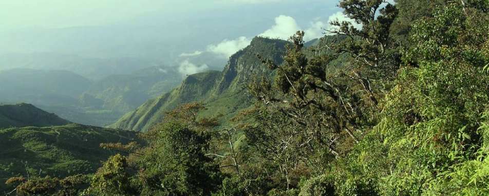 Walking in Horton Plains