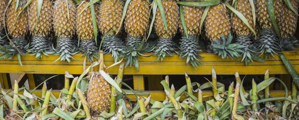 Kandy Market - Boutique Sri Lanka