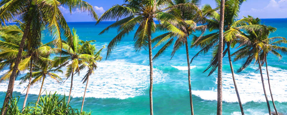 Coastline in Sri Lanka 