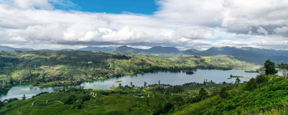 View over Camellia Hills 