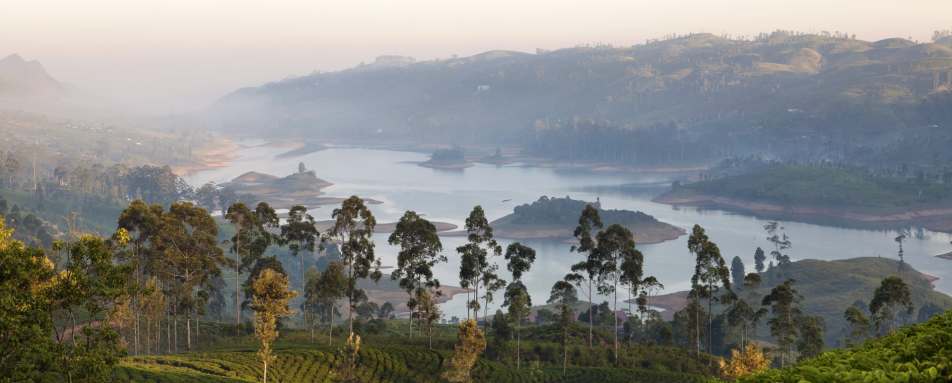 Ceylon Tea Trails - Sri Lanka in Style