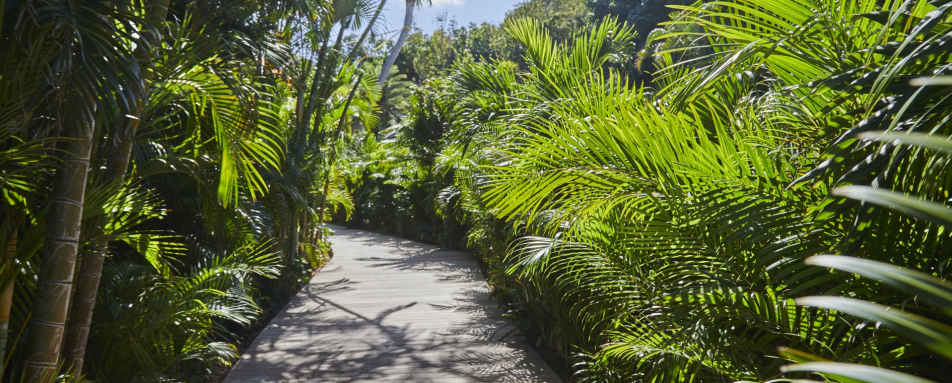 Deck in tropical gardens 