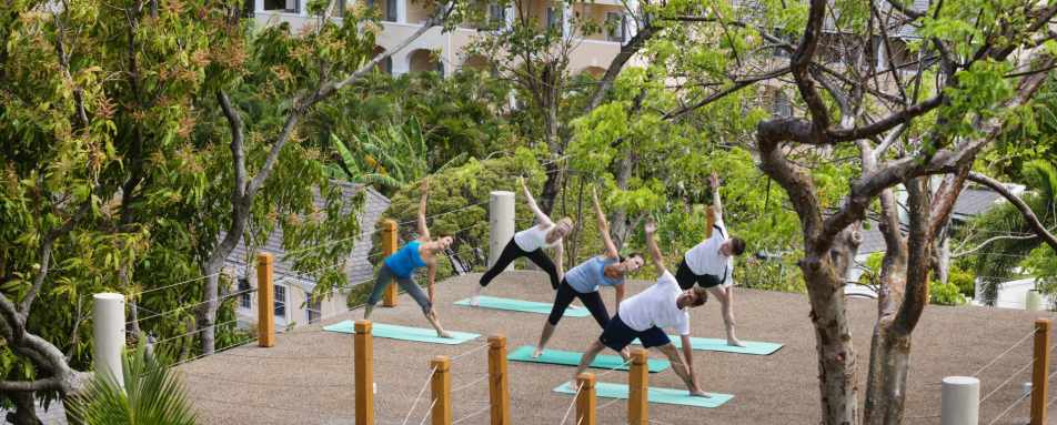Treetop Yoga - BodyHoliday