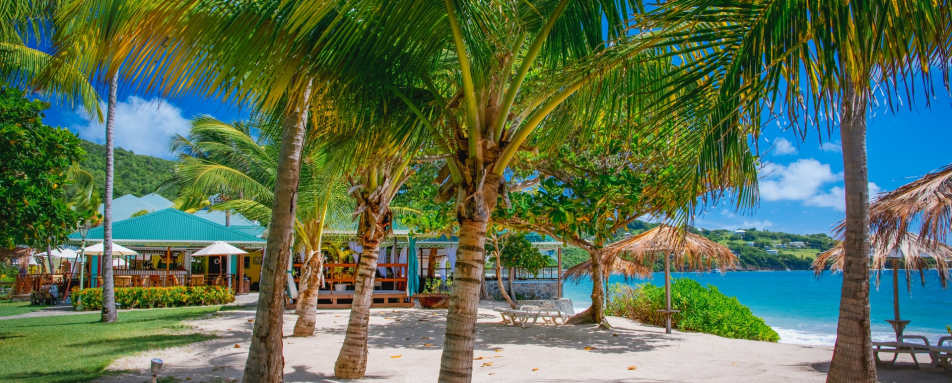 Beach and Gardens - Bequia Beach Hotel