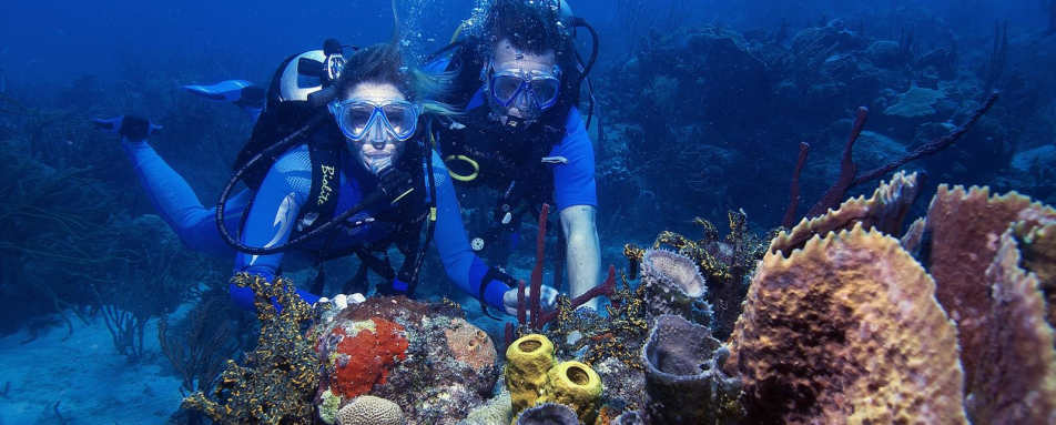 Diving at Petit St Vincent