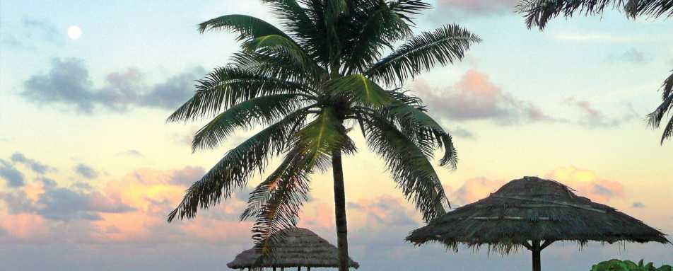 Island Picnic -Petit St Vincent