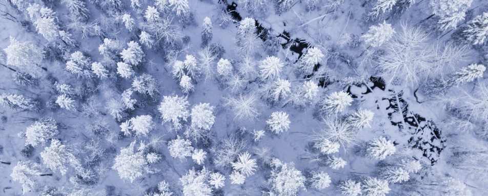 Lavvu room from above  