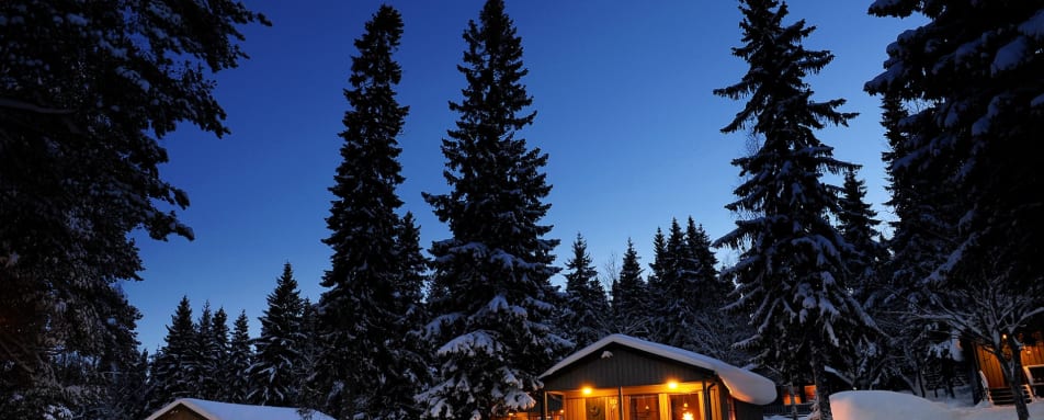 The Cabins in the snow