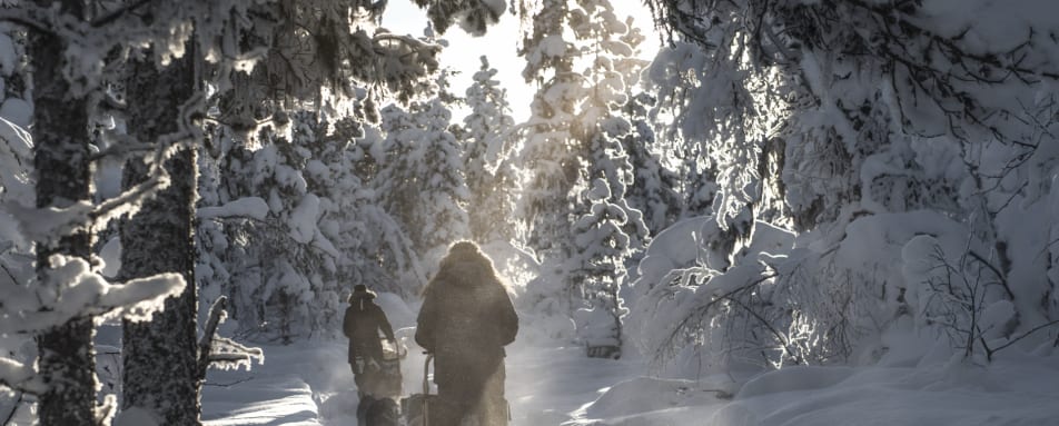 Fjellbord Arctic Lodge Dog Sled 