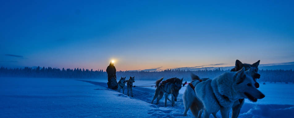Husky sledding - Lapland Guest House