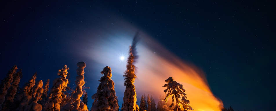 Wilderness - Lapland Guest House