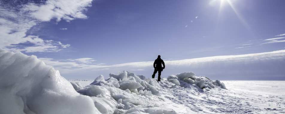 Pack ice - Pine Bay Lodge