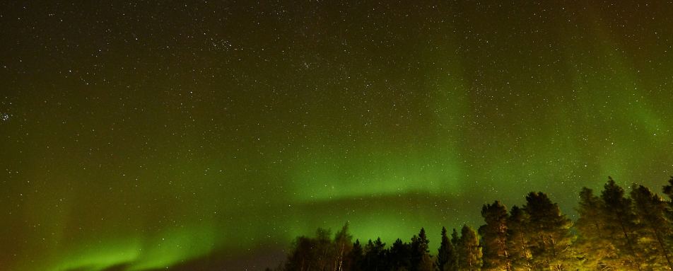 Northern Lights - Pine Bay Lodge