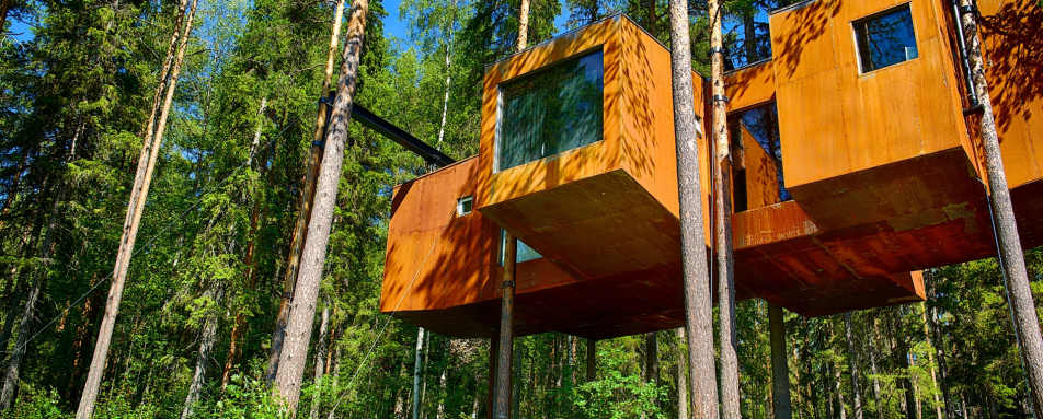 The Dragonfly - Treehotel