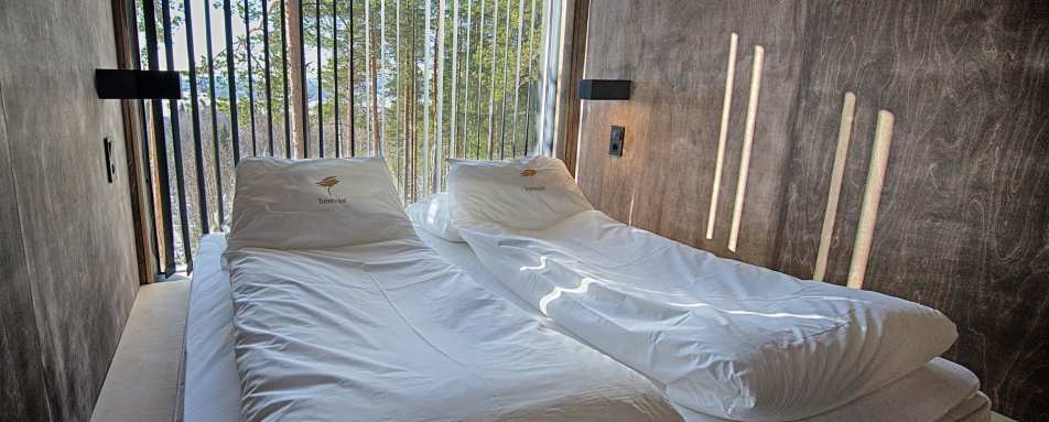 The Dragonfly interior - Treehotel