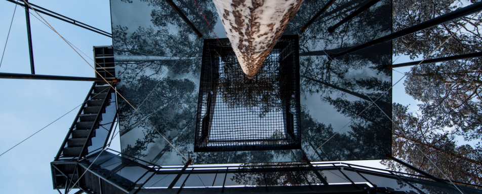 The 7th Room from below - Treehotel