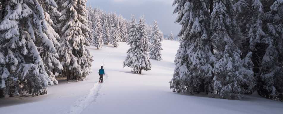 Snowshoe Walk in Swedish Lapland