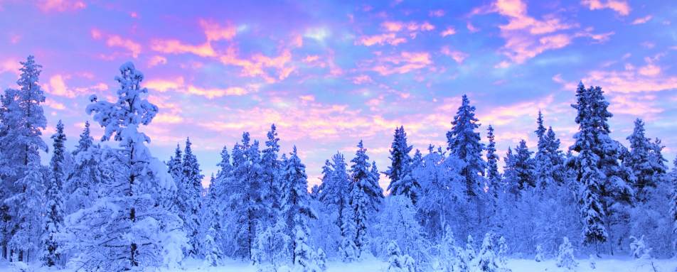 Lapland sunrise - Swedish Lapland for families