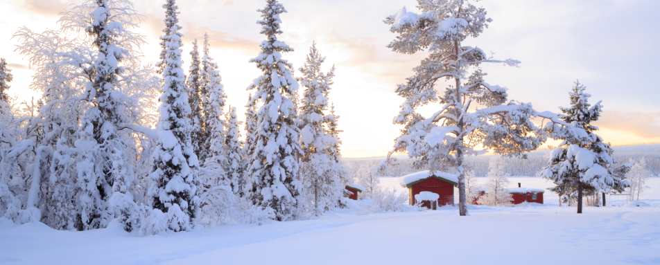 Lappish scenery - Swedish Lapland for families