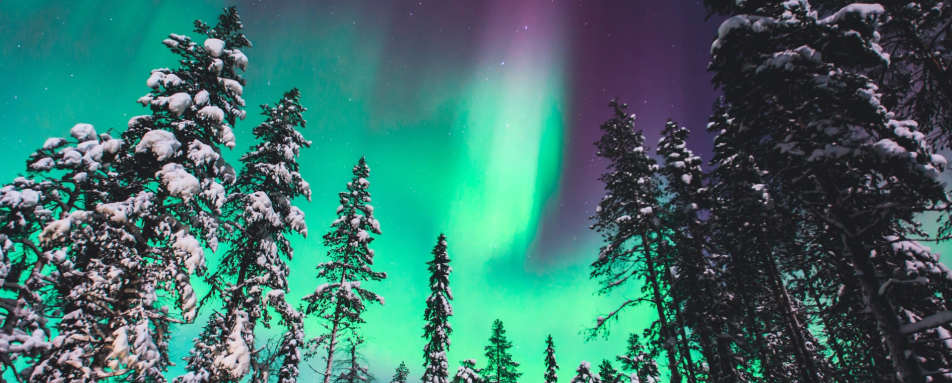 Northern Lights - Swedish Lapland for families