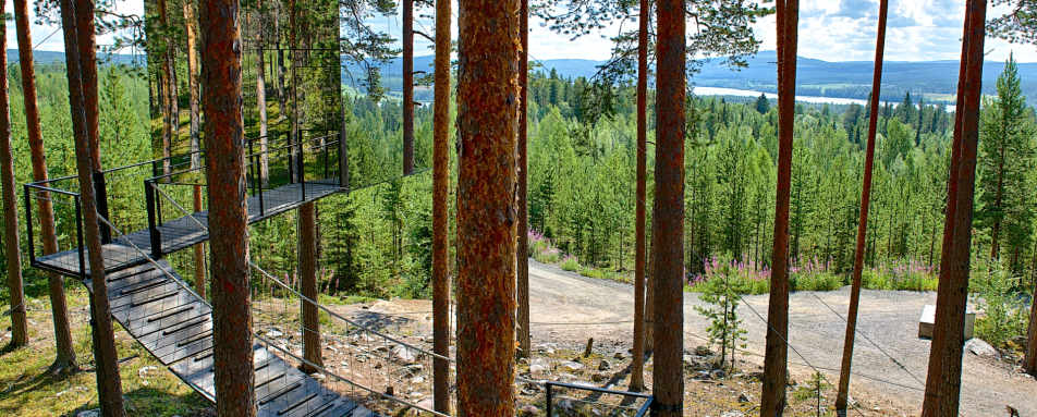 Scenery surrounding the Treehotel