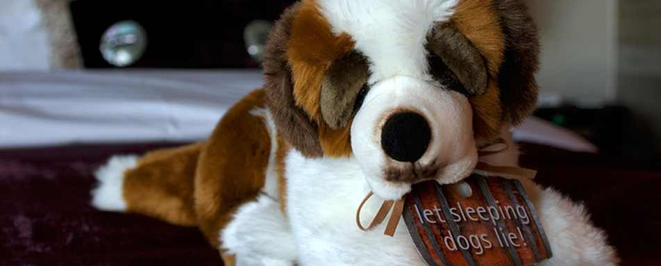 St Bernard - The Lodge Verbier