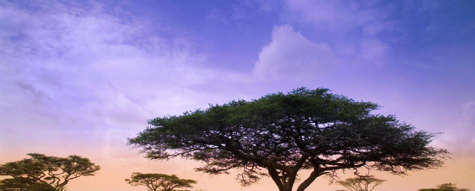 Camp at Sunset - Serengeti Under Canvas