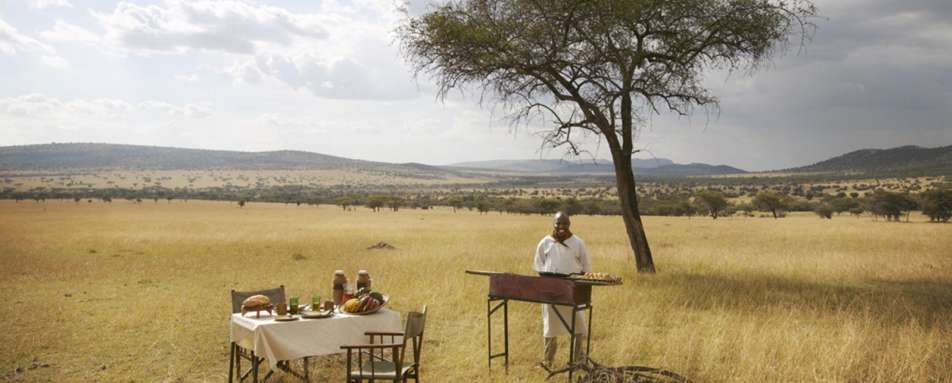 Bush picnic - Dunia Camp